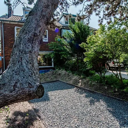 Seathedunes Zandvoort