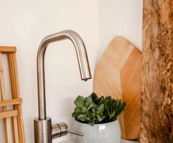 Seathedunes * Zandvoort