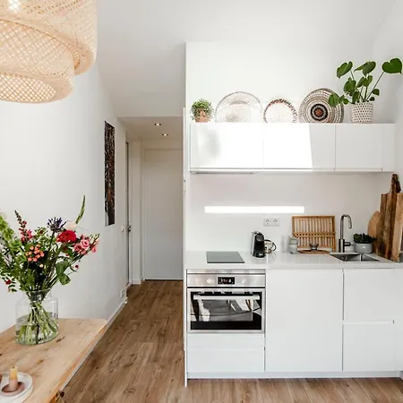 Seathedunes Prázdninový dům Zandvoort