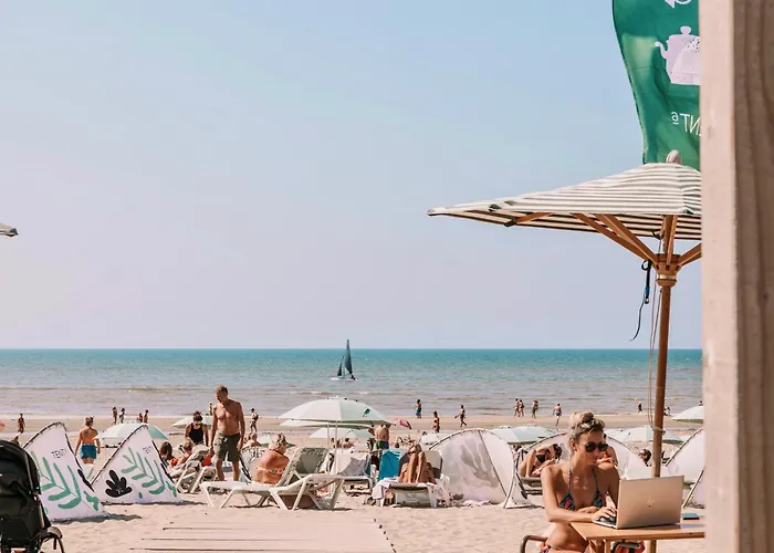 Seathedunes Zandvoort